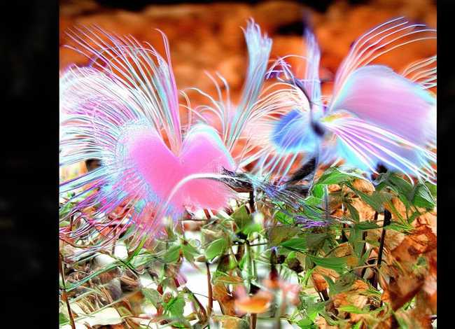 闪闪的红星简单故事 闪闪的红星简单故事50字 闪闪的红星简单故事 闪闪的红星简单故事50字