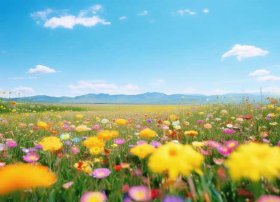 稻草人儿童故事完整版全集；稻草人故事绘本全文