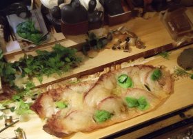 松鼠故事梗概 松鼠故事梗概50字