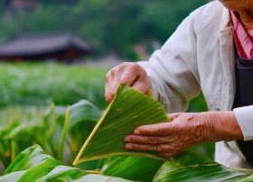 粽子的故事 粽子的故事100字可抄