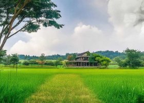 稻草人的故事读后感 - 稻草人的故事读后感400字