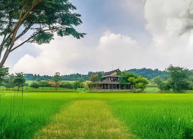 稻草人的故事读后感 - 稻草人的故事读后感400字 稻草人的故事读后感 - 稻草人的故事读后感400字
