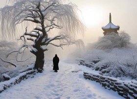 冬天古诗词（赞美冬天古诗词）
