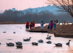 儿童舞蹈古诗新唱春江水暖鸭先知，古诗春江水暖鸭先知的诗名和全首诗