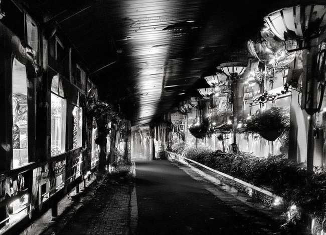 恐龙故事儿童睡前故事在线听 恐龙睡前故事大全在线听