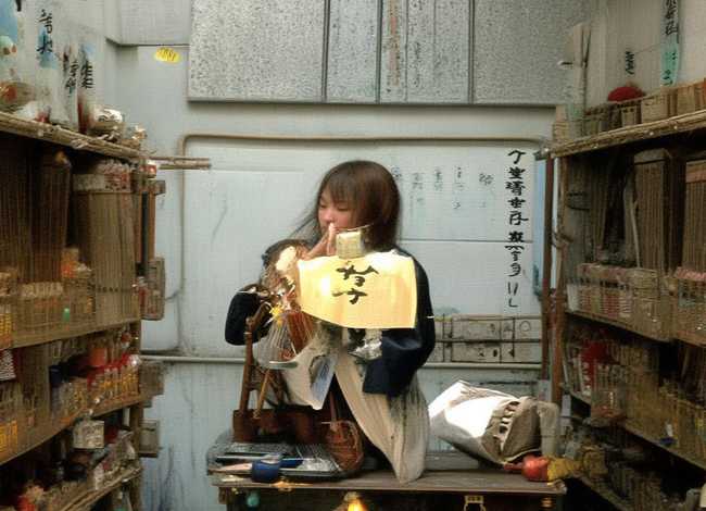 外国故事连环画 - 外国故事连环画-破坏了魔鬼岛上的大炮