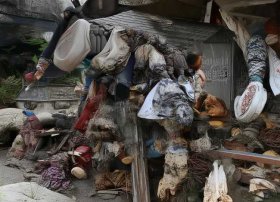 儿童睡前熊的故事 - 熊孩子的睡前故事