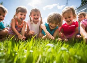 幼儿园关于草的课程故事 幼儿园关于小草的故事