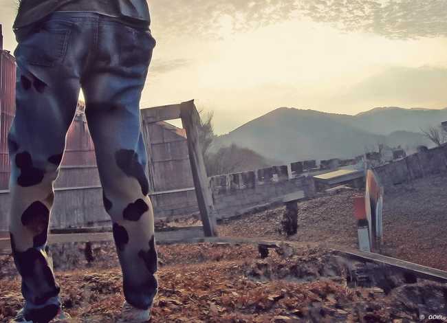 苹果姑娘故事主要内容和读后感 - 苹果姑娘的故事读后感20字 苹果姑娘故事主要内容和读后感 - 苹果姑娘的故事读后感20字