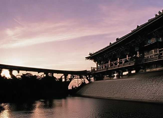 家 故事，家故事梗概