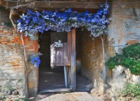 丽江故事歌曲 - 丽江原唱歌曲