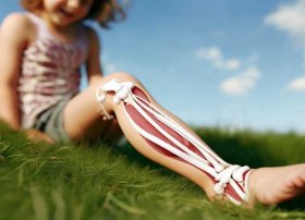 儿童股骨是在哪个部位 小孩股骨是什么部位