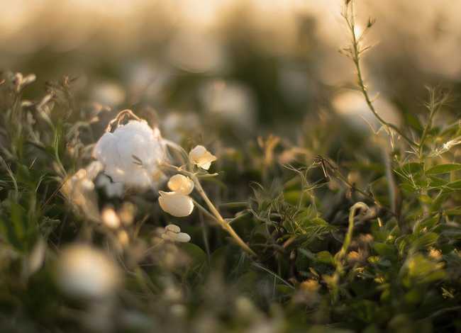 昆明儿童医院前兴院区和书林院区哪个好、昆明儿童医院前兴院区和书林院区哪个好点 昆明儿童医院前兴院区和书林院区哪个好、昆明儿童医院前兴院区和书林院区哪个好点