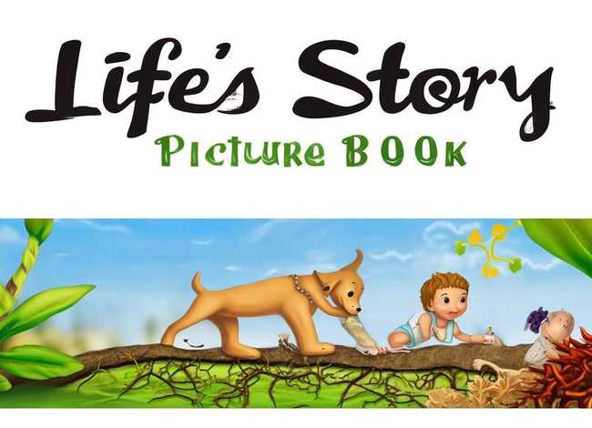 生命的故事绘本电子版（生命的故事绘本电子版图书,每一页都有）