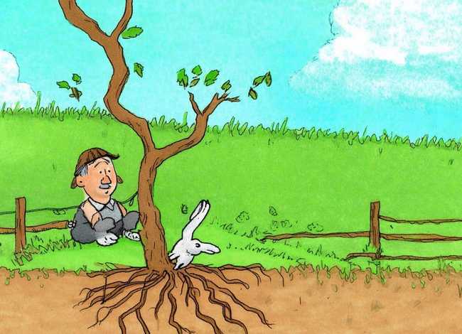 守株待兔英语绘本故事、守株待兔英语绘本故事手抄报