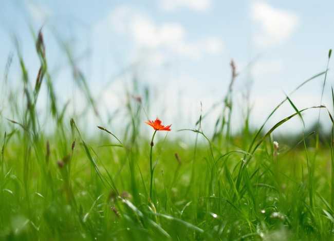 蜗牛小故事 蜗牛小故事20字