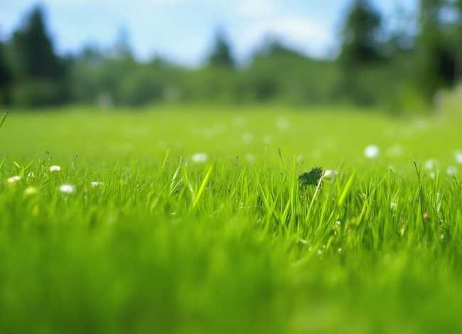 儿童故事蜗牛骑士，蜗牛骑士的故事内容简介