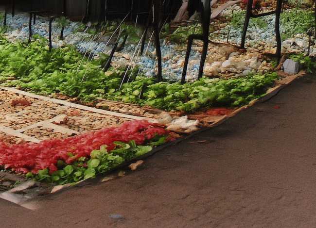 武松的小故事100字（武松的小故事100字概括）