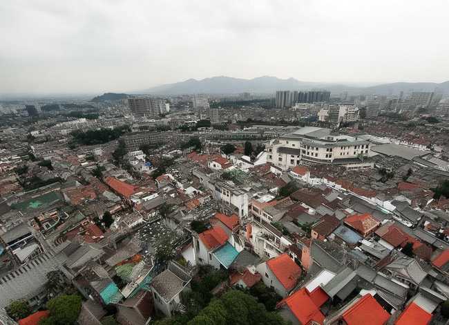 熊的故事好书推荐词；熊的故事好书推荐词50字