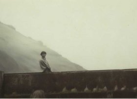 动物童话故事200字四年级 - 动物童话故事350字四年级上册