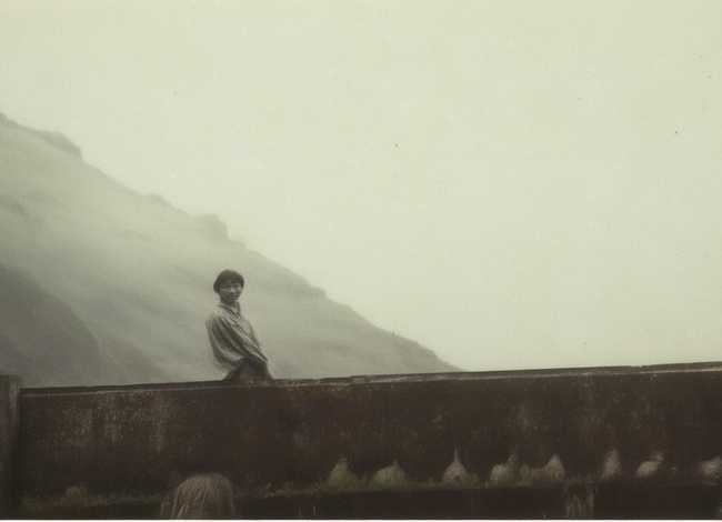 动物童话故事200字四年级 - 动物童话故事350字四年级上册