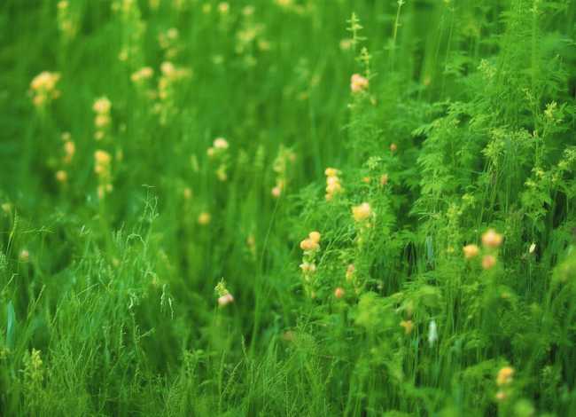 小蜗牛儿童故事书 - 小蜗牛幼儿故事