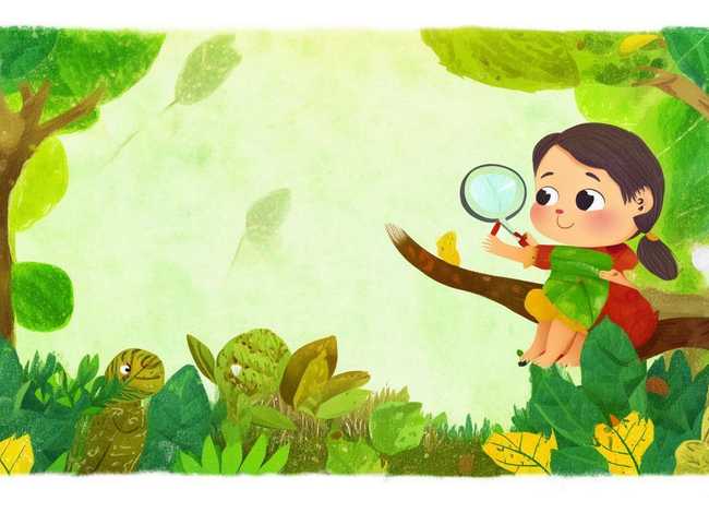 树叶的故事绘本 - 树叶的故事绘本故事内容