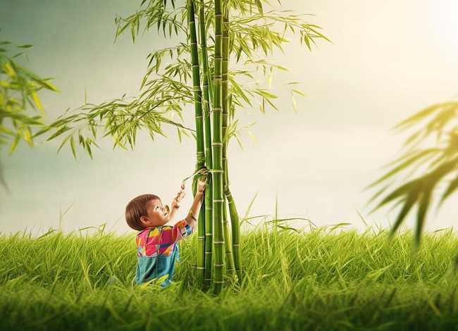 拔苗助长儿童故事在线听 - 睡前故事在线听拔苗助长 拔苗助长儿童故事在线听 - 睡前故事在线听拔苗助长