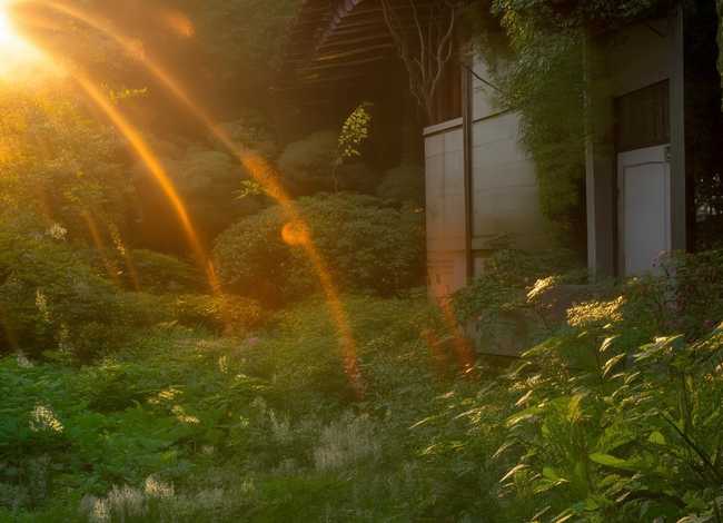 蜗牛的故事告诉我们什么道理，蜗牛的故事告诉我们什么道理呢