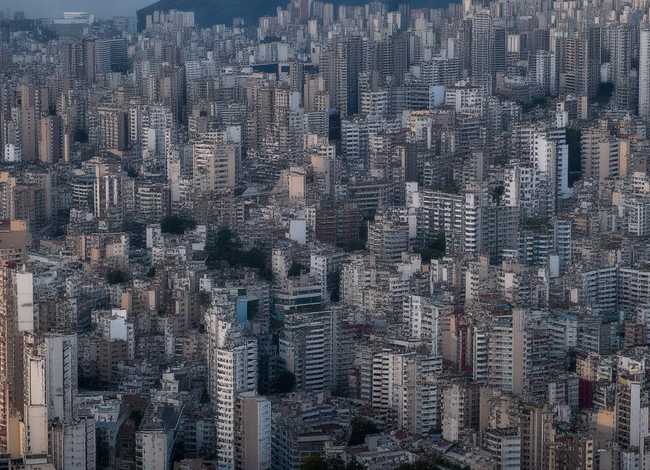 向日葵的故事简短、向日葵的故事简短50字