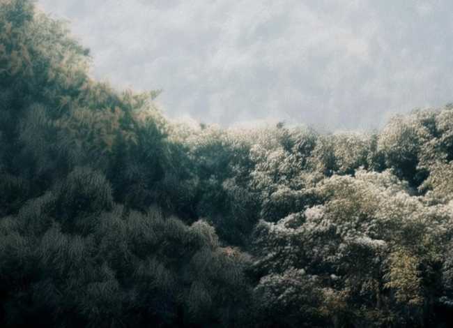 哈萨克儿童故事、哈萨克寓言故事