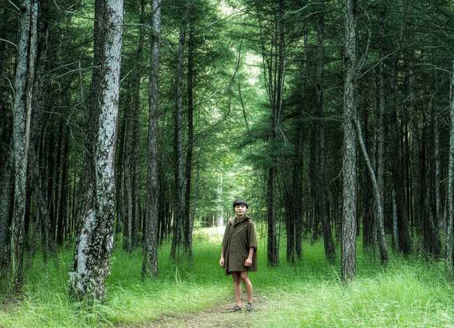 杜鹃鸟幼儿故事 杜鹃鸟幼儿故事简短 杜鹃鸟幼儿故事 杜鹃鸟幼儿故事简短