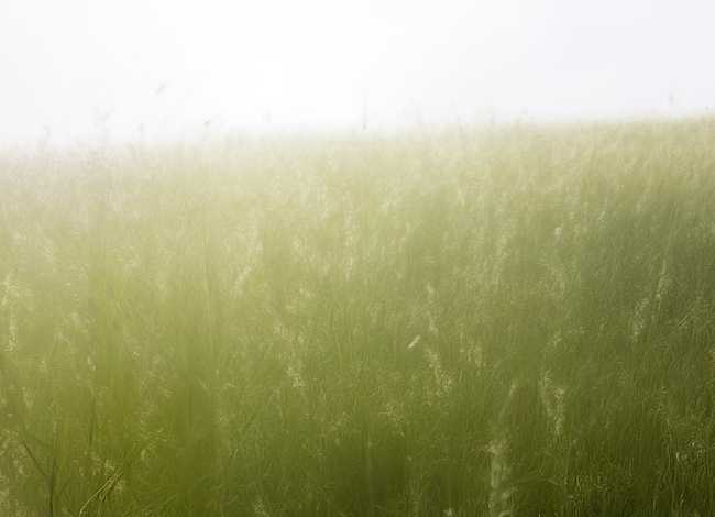 儿童故事小蜗牛在哪里 - 小蜗牛住在哪儿