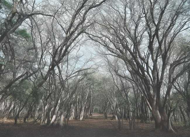 谦让的小故事，谦让的小故事200字左右