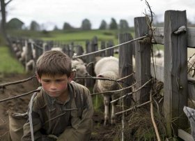 三年级寓言故事连环画亡羊补牢，三年级课外寓言故事亡羊补牢