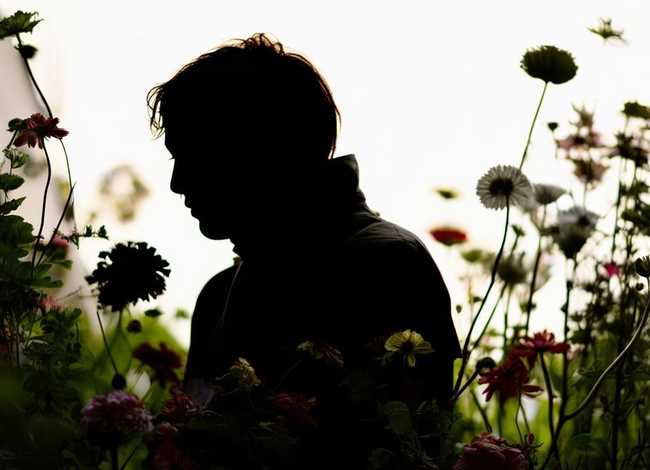 人娄的故事 人为的故事