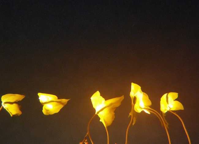 儿童故事视频大全完整；儿童故事视频大全完整版