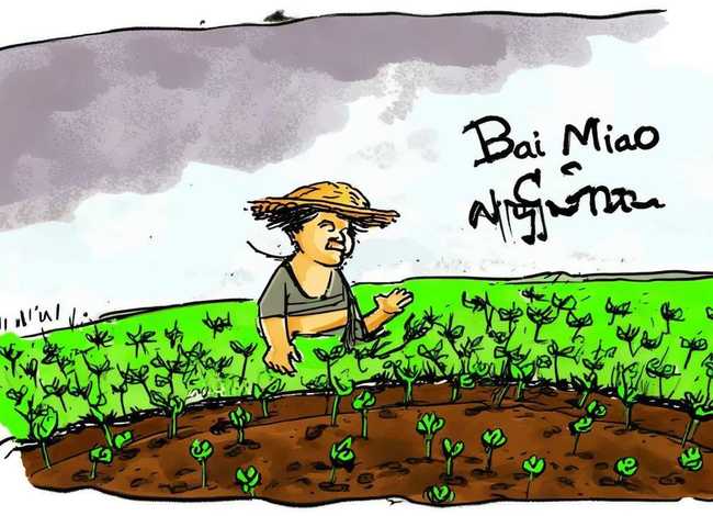 拔苗助长成语故事手抄报 拔苗助长成语故事手抄报图片