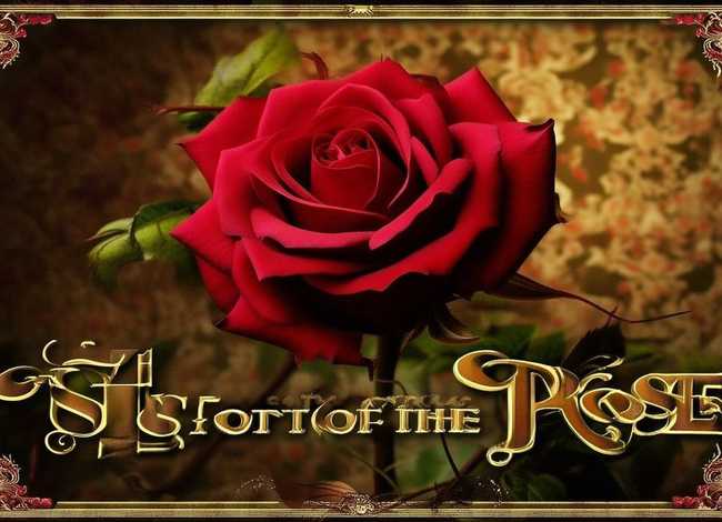 玫瑰的故事图片 玫瑰的故事图片封面