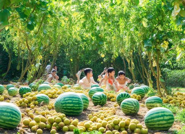 瓜田李下的故事幼儿；瓜田李下的故事100字