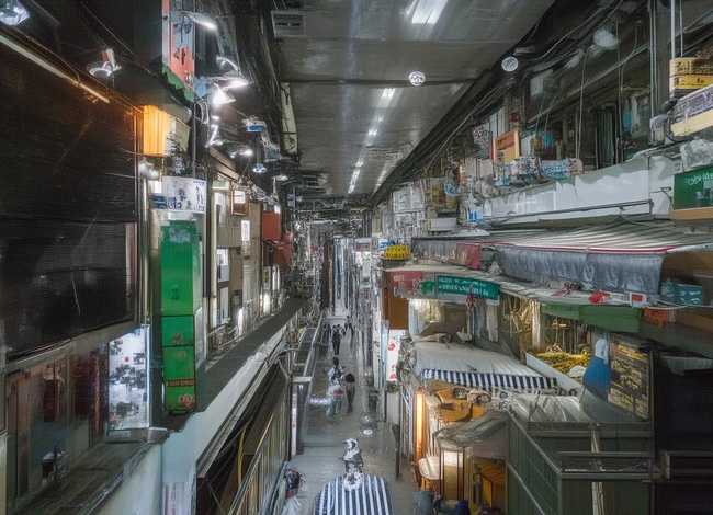 秋天树叶为什么会变黄 儿童故事；为什么秋天树叶会变黄20字