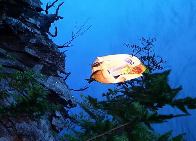 梦想的故事30字左右（梦想的故事30字左右三年级）