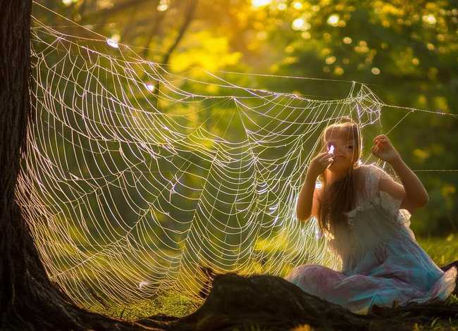 《蜘蛛的故事》原文 - 《蜘蛛的故事》原文内容