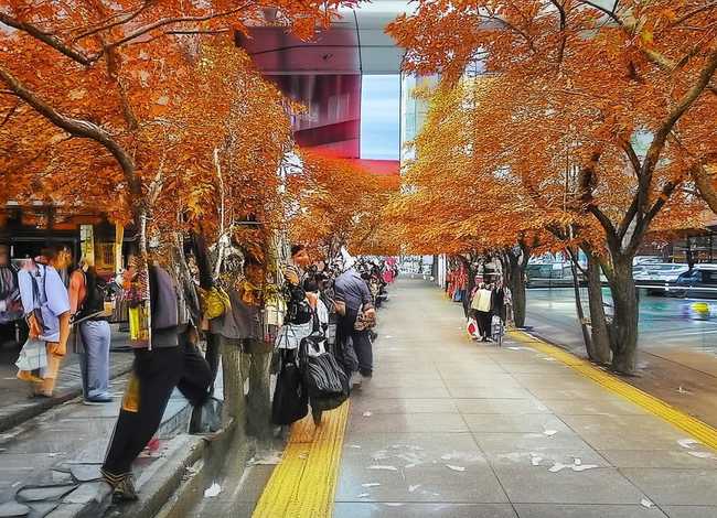 老鼠嫁女故事一年级、老鼠嫁女故事一年级50字