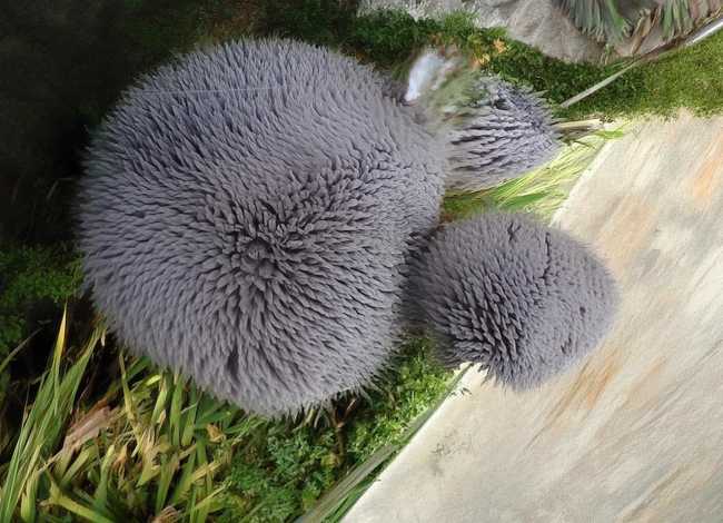 儿童寓言故事画饼充饥、画饼充饥的寓言故事50字左右