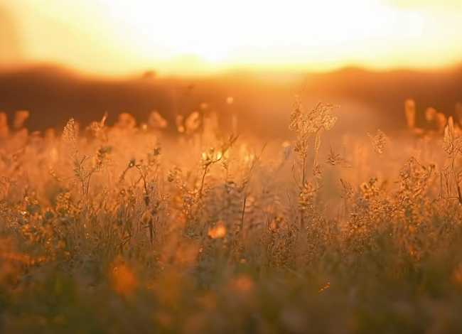 蜗牛故事儿童睡前故事；睡前故事小蜗牛的故事