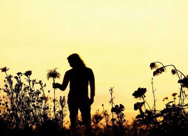 人无完人的人物；人无完人的人物事例