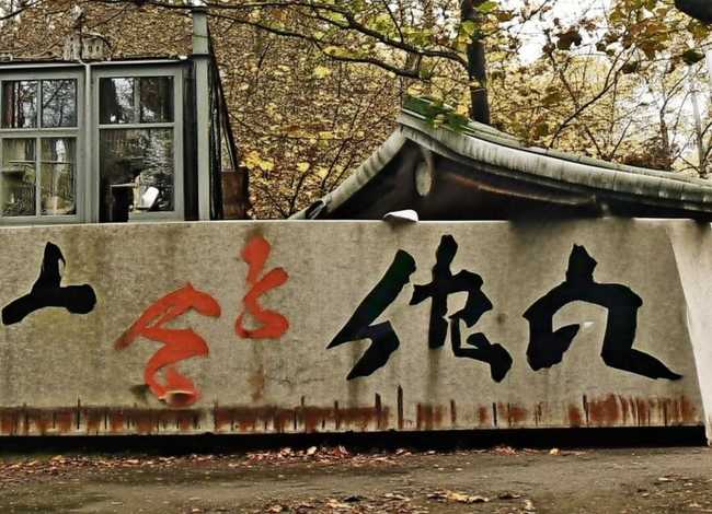 向日葵的故事简短、向日葵的故事简短50字