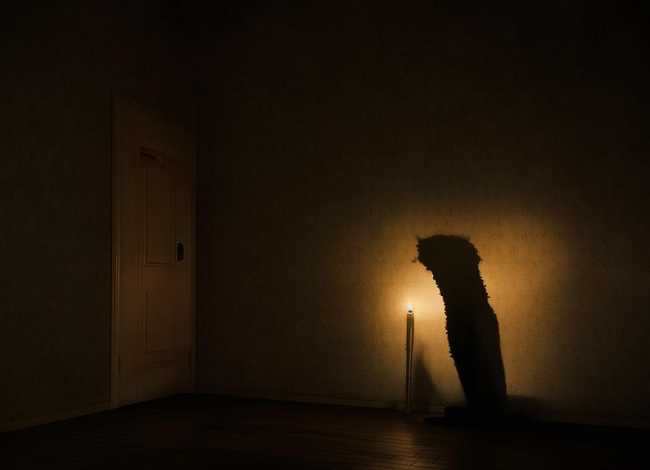 影子的故事简单，影子的故事简单概括