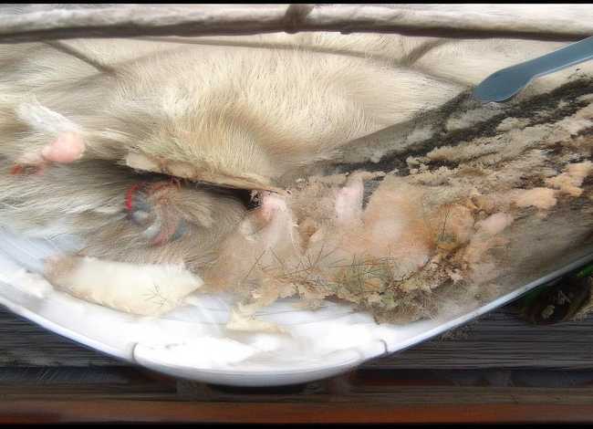 禅意故事；禅意故事书籍